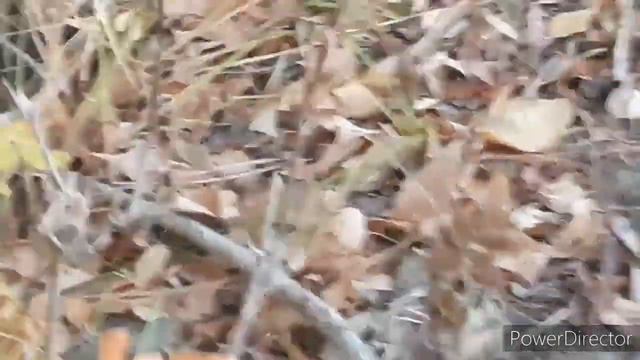 Крупный сом в октябре 2020. смотреть онлайн