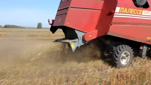 НОВЫЙ урожай гречихи сорт Инзерская 3 августа 2012 смотреть онлайн