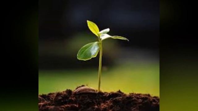 10 ДОКАЗАТЕЛЬСТВ СУЩЕСТВОВАНИЯ БОГА смотреть онлайн