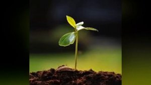 10 ДОКАЗАТЕЛЬСТВ СУЩЕСТВОВАНИЯ БОГА