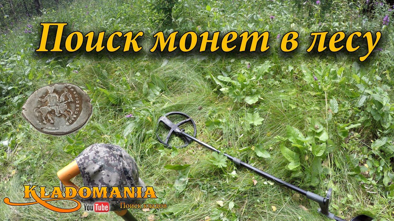 Поиск монет в лесу. Что можно найти в лесу с металлоискателем смотреть онлайн