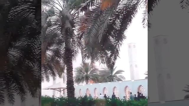Абу Даби,мечеть шейха Заеда смотреть онлайн