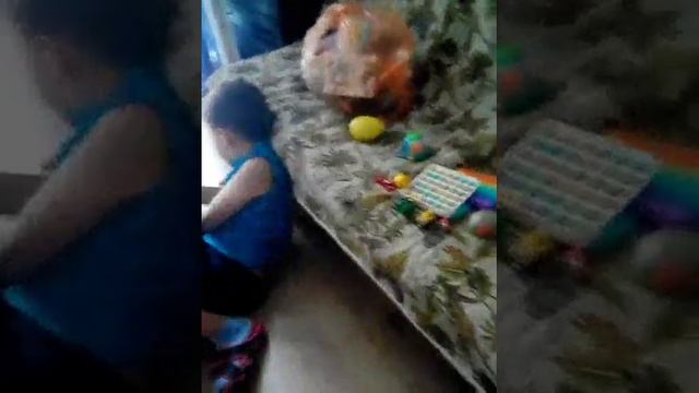 мы купили 100 сюрпризов за 24 часа смотреть онлайн