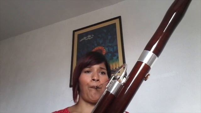 2do. Movimiento del Concierto para fagot en mi menor de Vivaldi. Monserrat Velázquez. OCZ. смотреть онлайн