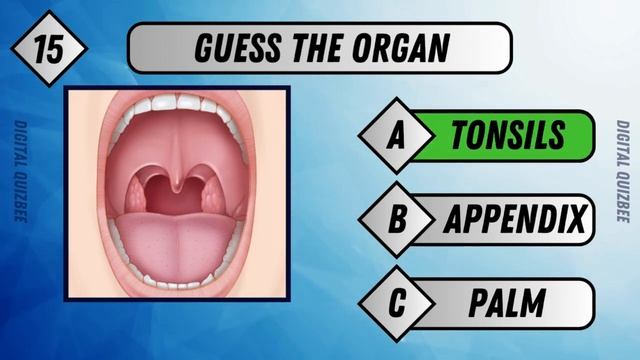 Guess the Human Body Organs Quiz || How many human body parts can you Guess смотреть онлайн