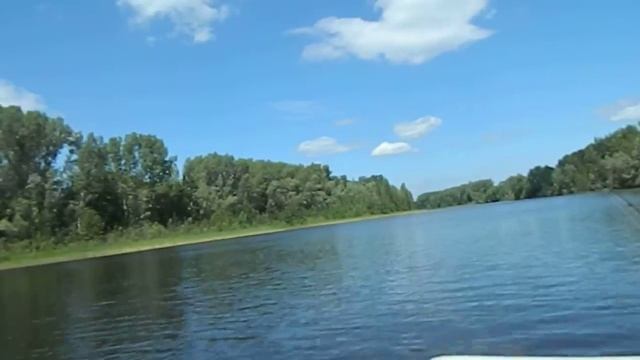 Кривуша! смотреть онлайн