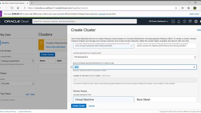 Creando un Servicio de Big Dat (BDS) con Oracle - Cluster смотреть онлайн