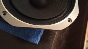 Technics SB-X5! Полное завершение размягчения подвеса у нч динамика.