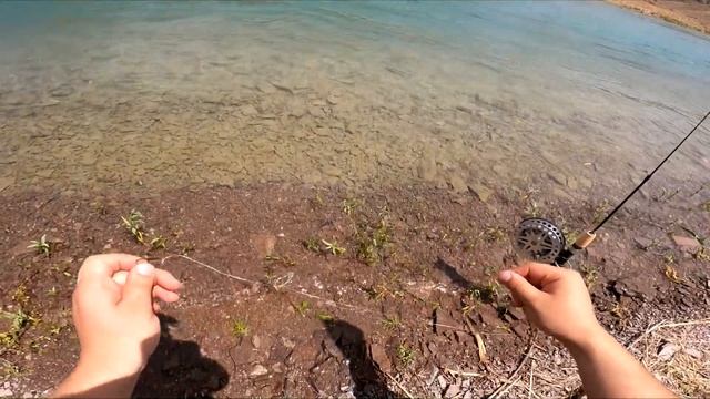 РЫБАЛКА НА РЕКЕ В КРАСИВЕЙШИХ МЕСТАХ!!! САЗАН, КАРАСЬ, ВОБЛА!!! смотреть онлайн