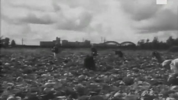 Сплин Оркестр.