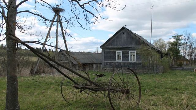 ?ДЕРЕВНЯ НЕСТЕРОВКА. КРАСОТА ПРИРОДЫ СМОЛЕНСКОЙ ОБЛАСТИ, ХОЛМ-ЖИРКОВСКОГО РАЙОНА. смотреть онлайн