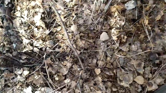 Нашли клондайк! Боевое крещение машины тонной металлолома смотреть онлайн