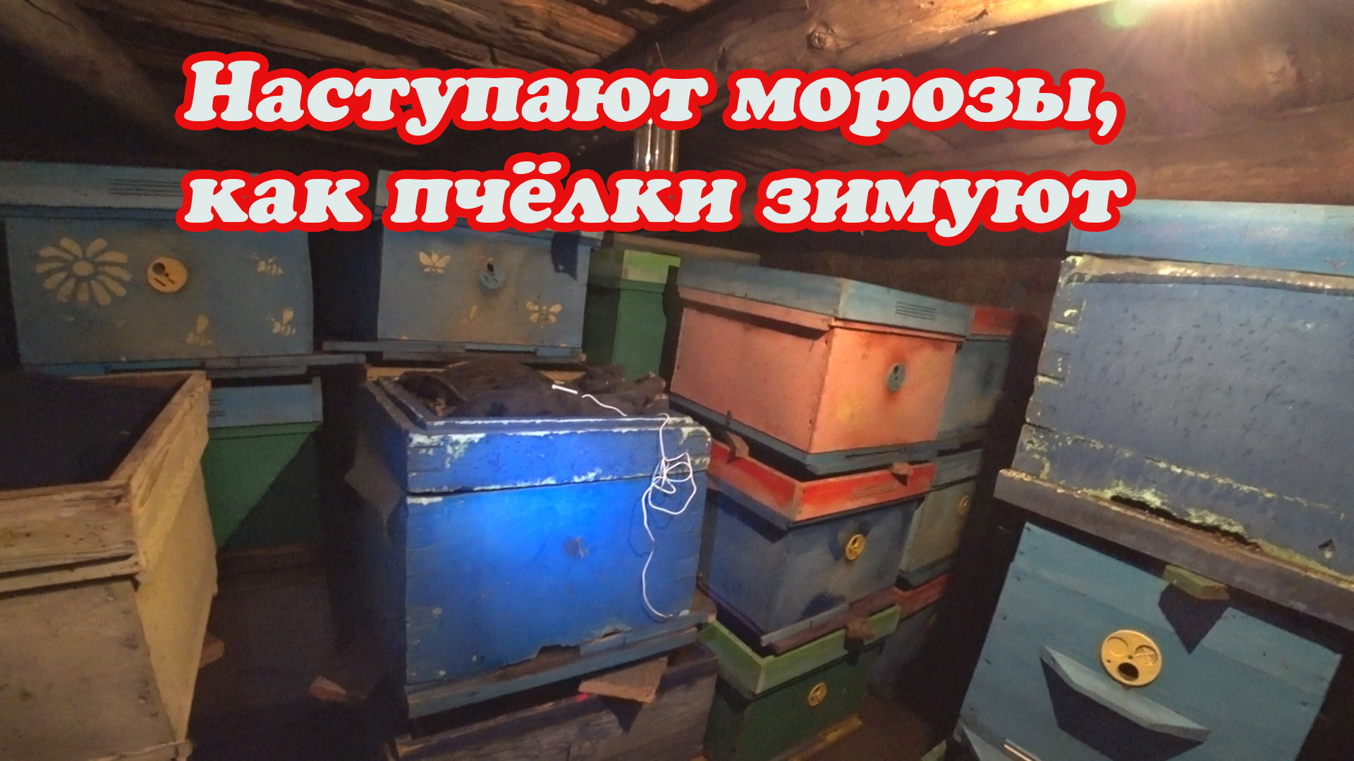 ЗИМОВКА ПЧЁЛ, НАДВИГАЮТСЯ СИЛЬНЫЕ МОРОЗЫ, ЧТО СДЕЛАТЬ. смотреть онлайн