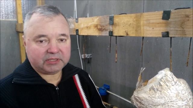 Какие компоненты использовать для грибного субстрата