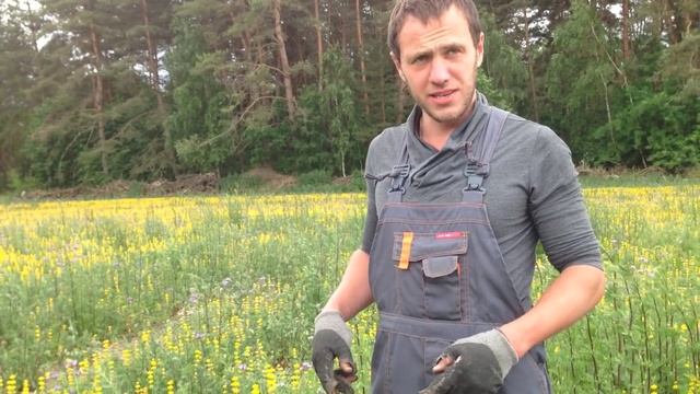 Польша Сельское хозяйство Селекция