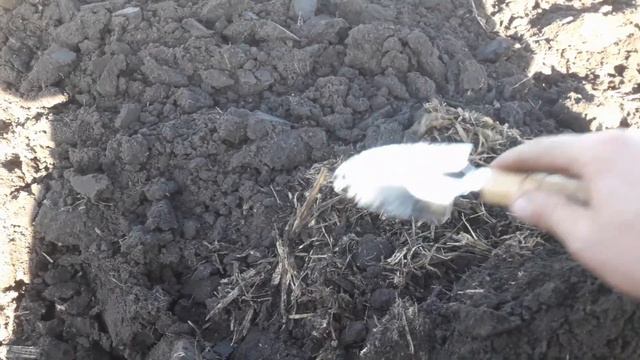 Як розклалася кукурудза за рік. Плуг ПЛН 3-35 і ПШН-5. смотреть онлайн