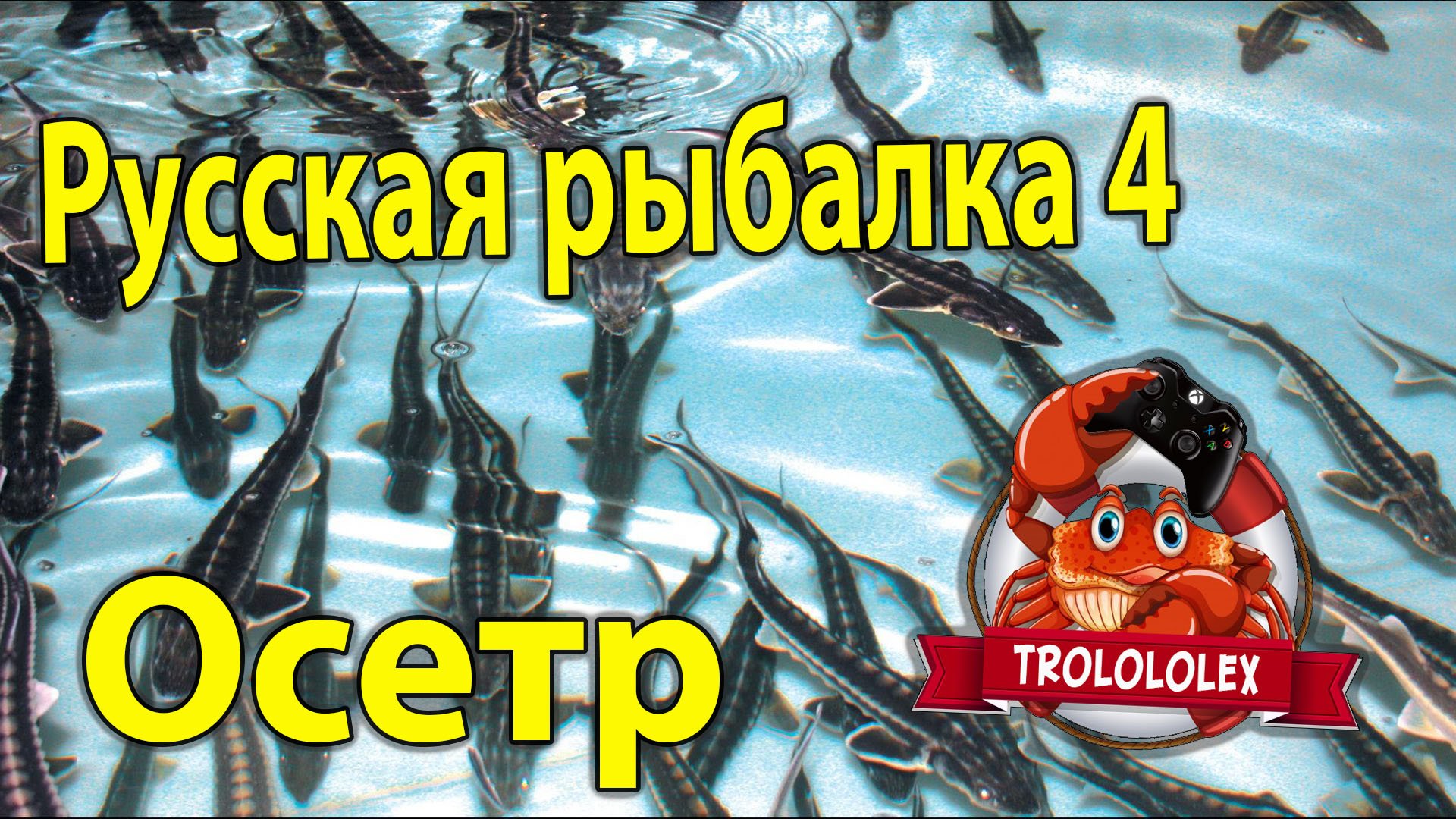 Русская рыбалка 4. Фарм на осетрах.mp4