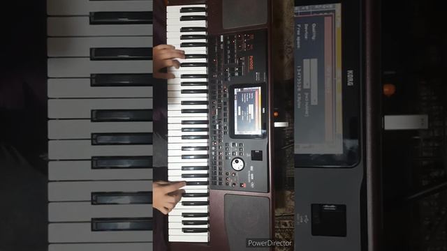 Salvarin Robert Hora Lautareasca la orga Korg pa 1000 смотреть онлайн