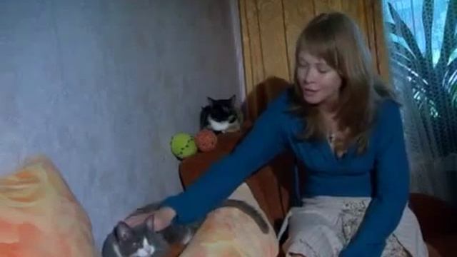 Уральский Рекс - Все о Породе смотреть онлайн
