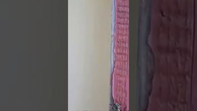 пасека Завадского 2020 г,г.Астрахань смотреть онлайн