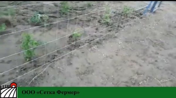 Шарнирная(лесная) сетка Волгоград подробнее www.setka-fermer.ru