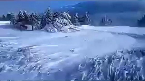 Зимняя вьюга Метель Звуки природы//winter blizzard blizzard