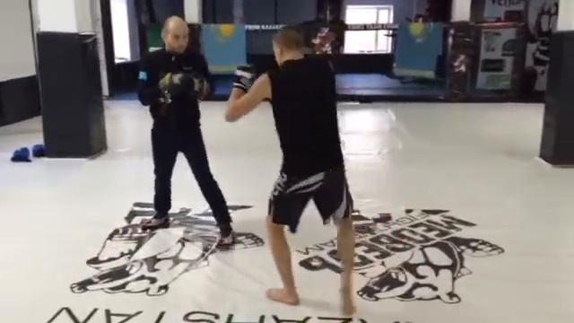 Золотых Анатолий ударная техника, передвижение.