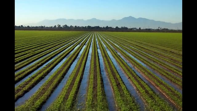 Озеро Балхаш погибает.#балхашпогибаеет#озеробалхаш смотреть онлайн