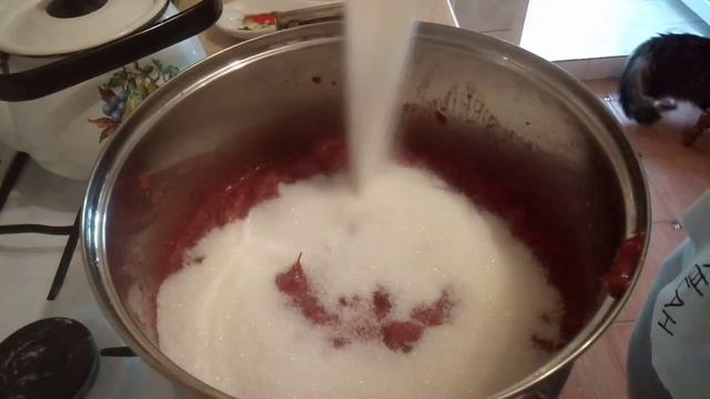 Кулинарное творчество для начинающих 