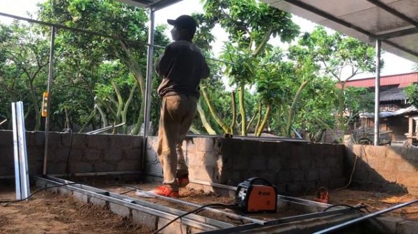 "The Green Chronicles: Stories from Nature's Sanctuary"