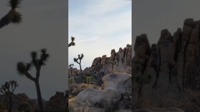 Joshua-Tree Nationalpark смотреть онлайн