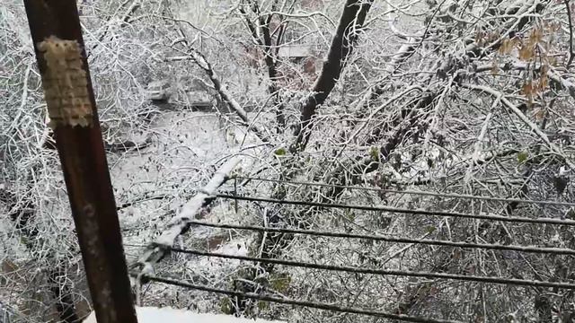 23 октября 2022 г. Какой прекрасный снег выпал ночью. смотреть онлайн