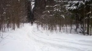 Карьер на лошади