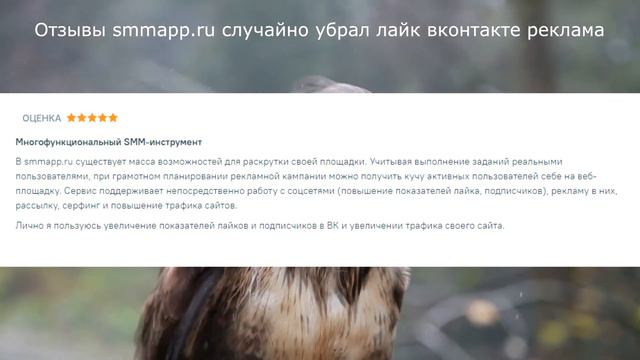 Отзывы smmapp.ru случайно убрал лайк вконтакте реклама смотреть онлайн