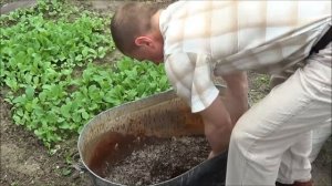 Эко3 Огурцы под Биогумус. Посев семян. Андрей Ткаченко