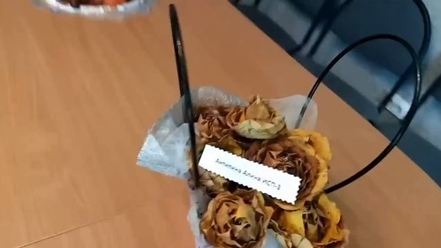 Осенние фантазии смотреть онлайн