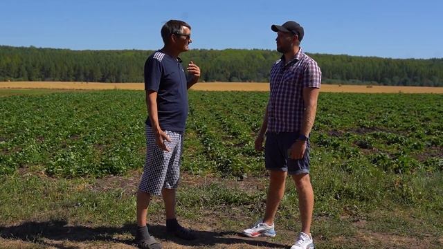 Сколько можно заработать на клубнике? / Бизнес с нуля на клубнике смотреть онлайн