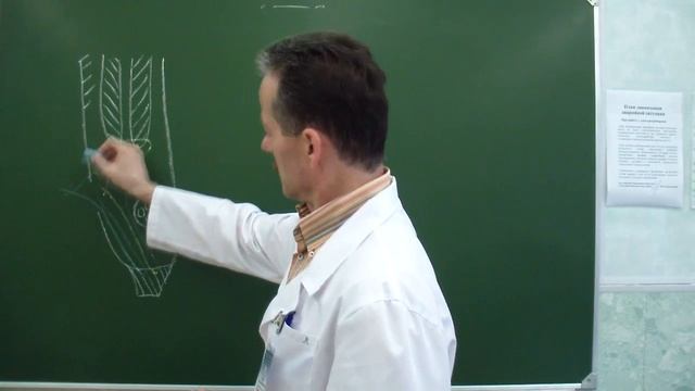 Пластика передней стенки пахового канала по Жирару смотреть онлайн