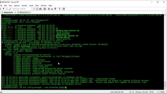 Upgrade a Zabbix 6 parte 2 смотреть онлайн