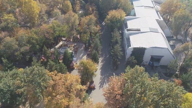 Ташкентский Зоопарк с высоты птичьего полета смотреть онлайн