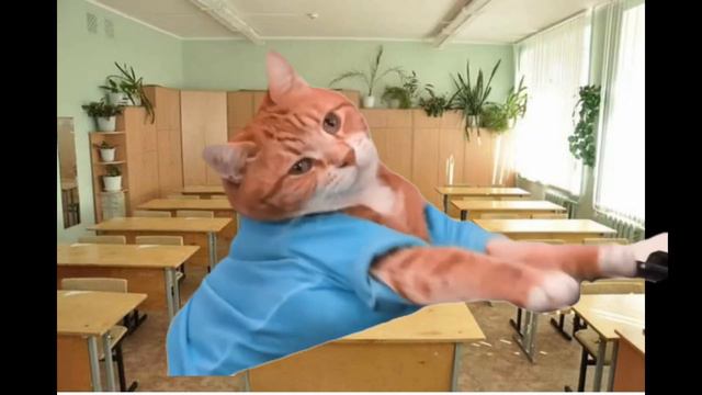 Котик играет на пианино #кот#мем смотреть онлайн