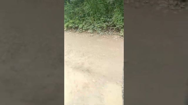 Архипо Осиповка на УАЗе в горы 28 июня смотреть онлайн