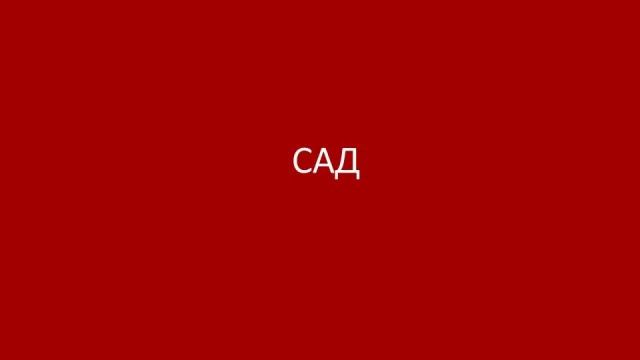 Ассоциативный тест "Виноградная лоза". Педагог - психолог Бекахметова Ж.Ж. смотреть онлайн
