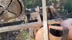 Тыква для коров ??Корморезка для тыквы