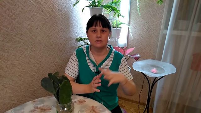 Я не смогла пройти мимо ...... смотреть онлайн