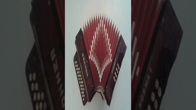 Cana verde Hohner ! смотреть онлайн