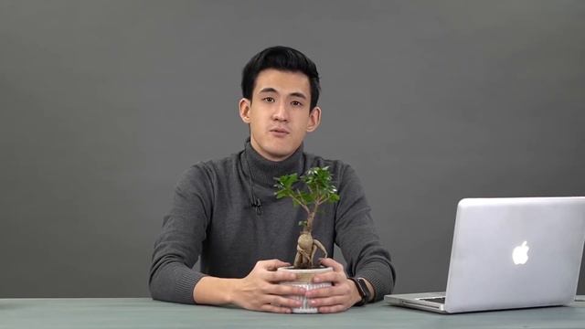 Гуглим вместе с Ринатом Мырзалиевым ( Бонсай ) Комнатное растение смотреть онлайн