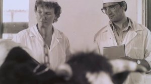 "Сибирская язва: Диагностика и профилактика" 1987г.