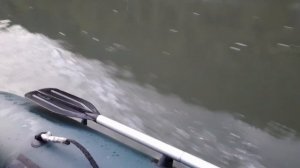 Открытие сезона - мотовесло шпарит!