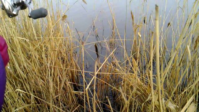 ловля щуки на силикон зимой в Донецкой области смотреть онлайн